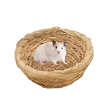 小鳥繁殖用飼育ケース Amazon.co.jp: 繁殖用バードハウス、鳥の繁殖巣 - フラット