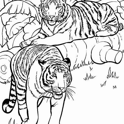 Free Printable Tiger Coloring Pages for Kids | GBcoloring