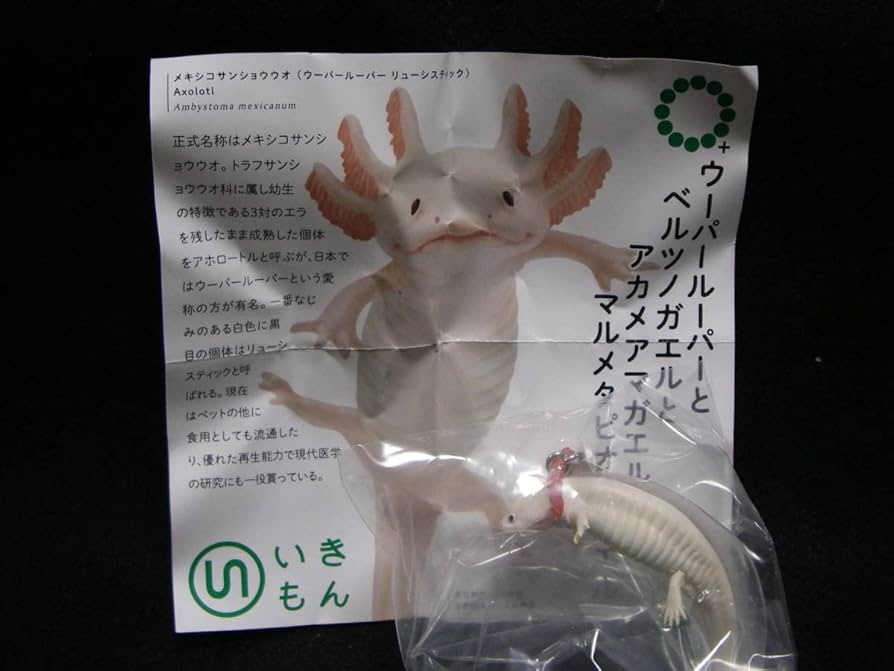 ウーパールーパー様 Amazon.co.jp: イガラシ ウーパールーパーフロート 140×92cm FRB-183V