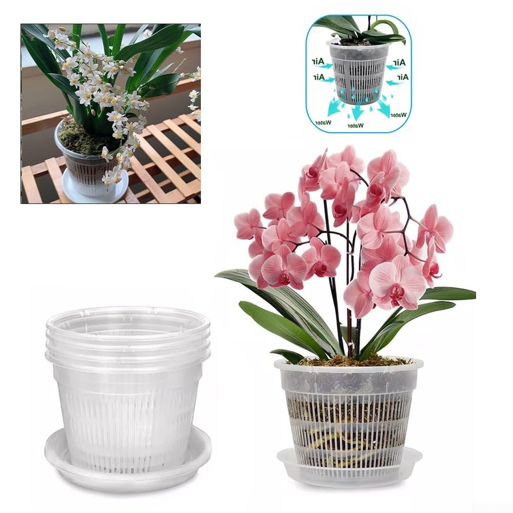 Vaso Per Orchidee Stewart Plastics – Trasparente, ⌀ 13 Cm, Con Aperture Laterali E Sottovaso Incluso - 4