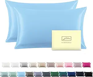 Silk Pillow Cases 2 Pack Soft Breathable and Sliky Standard Size Pillow Cases Set of 2,Natural Mulberry Satin Silk Pillowcase with Hidden Zipper for Hair and Skin (Sky Blue,20"X 26",2pcs)