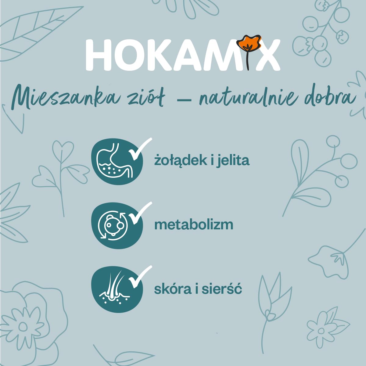 Grau - Oryginalny produkt - HOKAMIX30 Snack Petit Veggie, zdrowa wegetariańska przekąska z 30 ważnymi ziołami, 1 opakowanie (1 x 2,25 kg), karma uzupełniająca dla psów