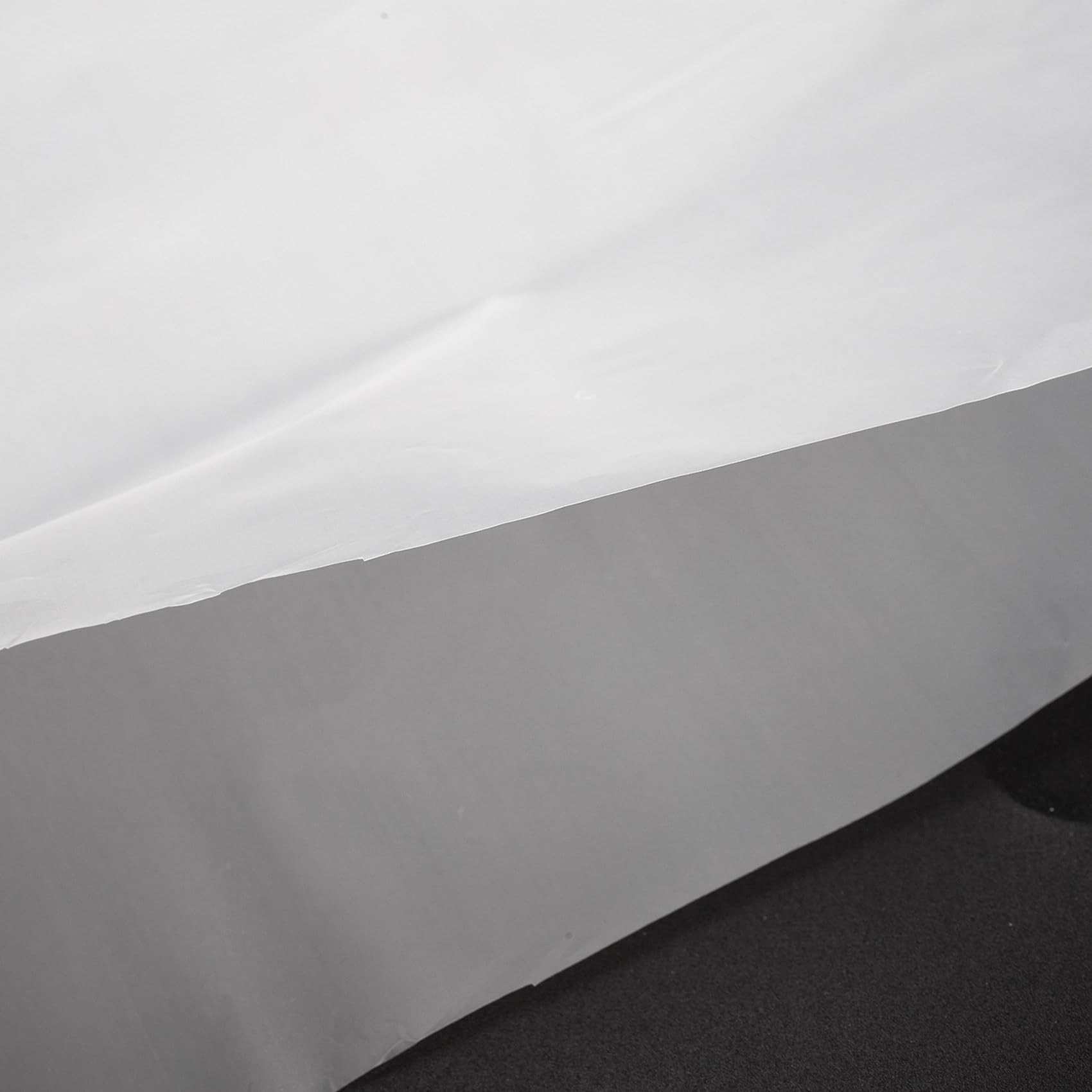 Buste da 12 Pollici nel Vinile Protecter LP Record Sacchetti di Plastica Maniche da Record Antistatiche Contenitore Interno Trasparente Esterno nel Plastica 1000 Pezzi