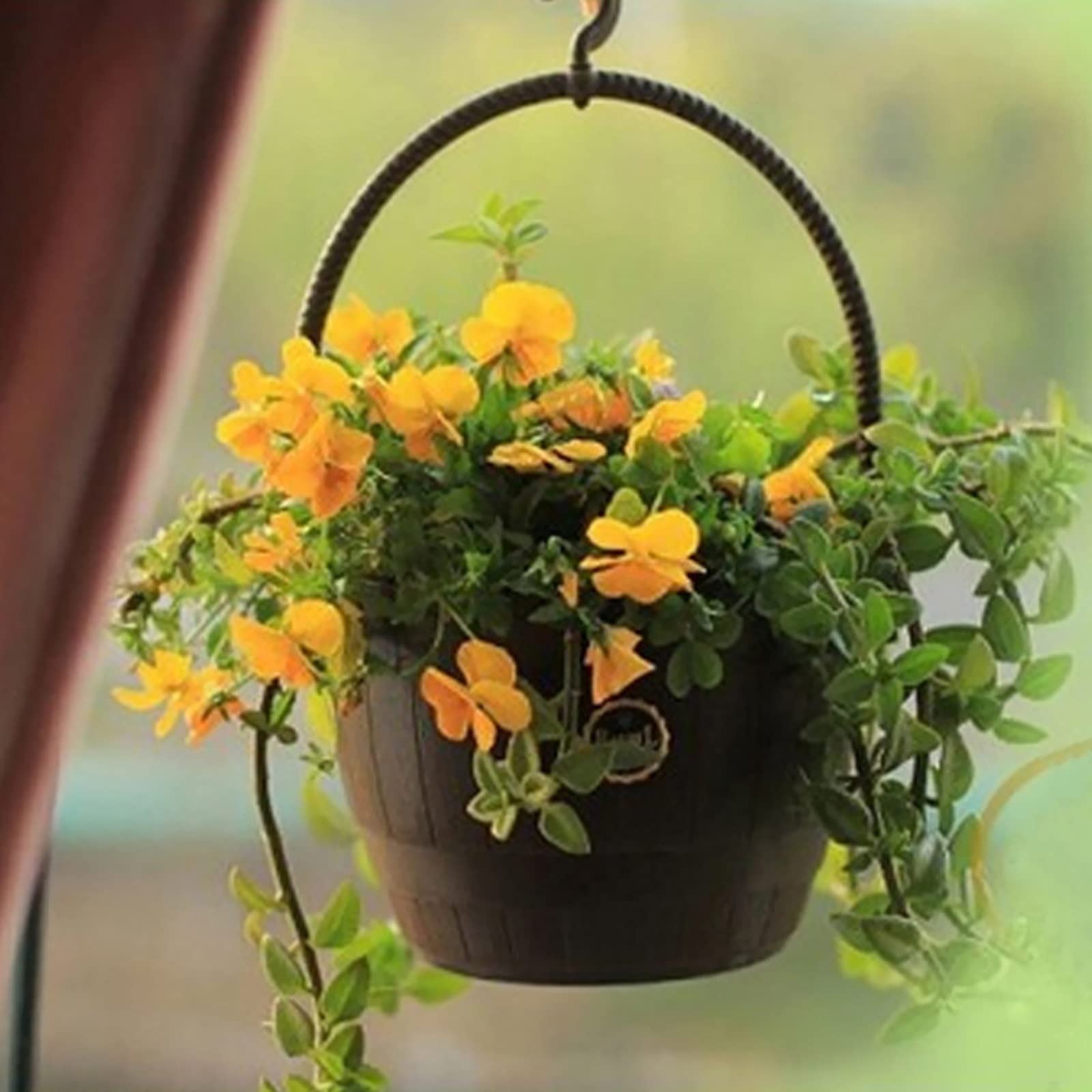 HASMI Jardiniere Balcon Jardinière Suspendue avec drainant Plug Rond en Plastique résine chaîne Panier Suspendu planteur de Fleurs Pots extérieurs Pot Suspendu Plante Interieur