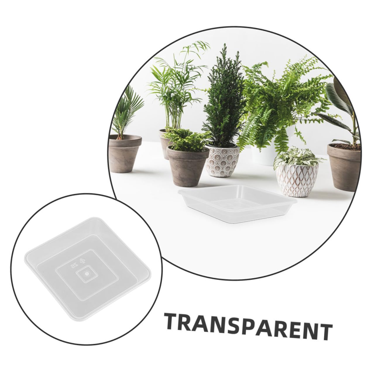 8 Stück Quadratische Pflanzenuntersetzer Transparent Dicke Kunststoff Auffangschalen Für Drinnen Und Draußen Formstabiler Pflanzschalen Schutz Minimalistisches Design Für Blumentöpfe