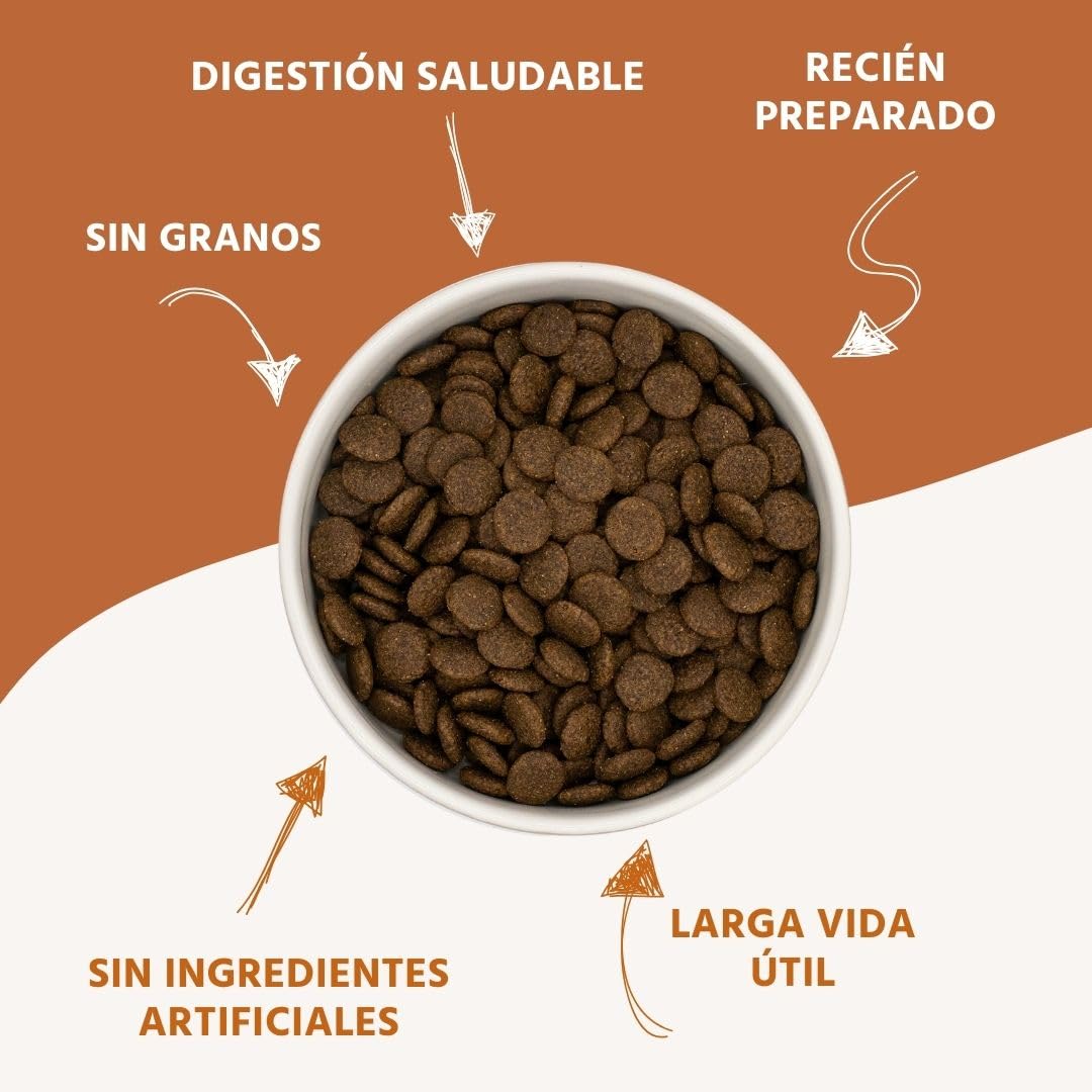 Wildfang® Alimento Seco para Perros 6kg – Pienso Premium con Pollo y Pavo, Sin Cereales ni Gluten, con Ingredientes Naturales, Sin Azúcar Añadido Comida para Cachorros y Perros Pequeños – Paquete de 1