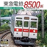 �r�R�� �T�E���h�R���N�V�����V���[�Y ���}8500�n �c���s�s�� �a�J�`�����ъ� ����Ȃ�n�`�S�[