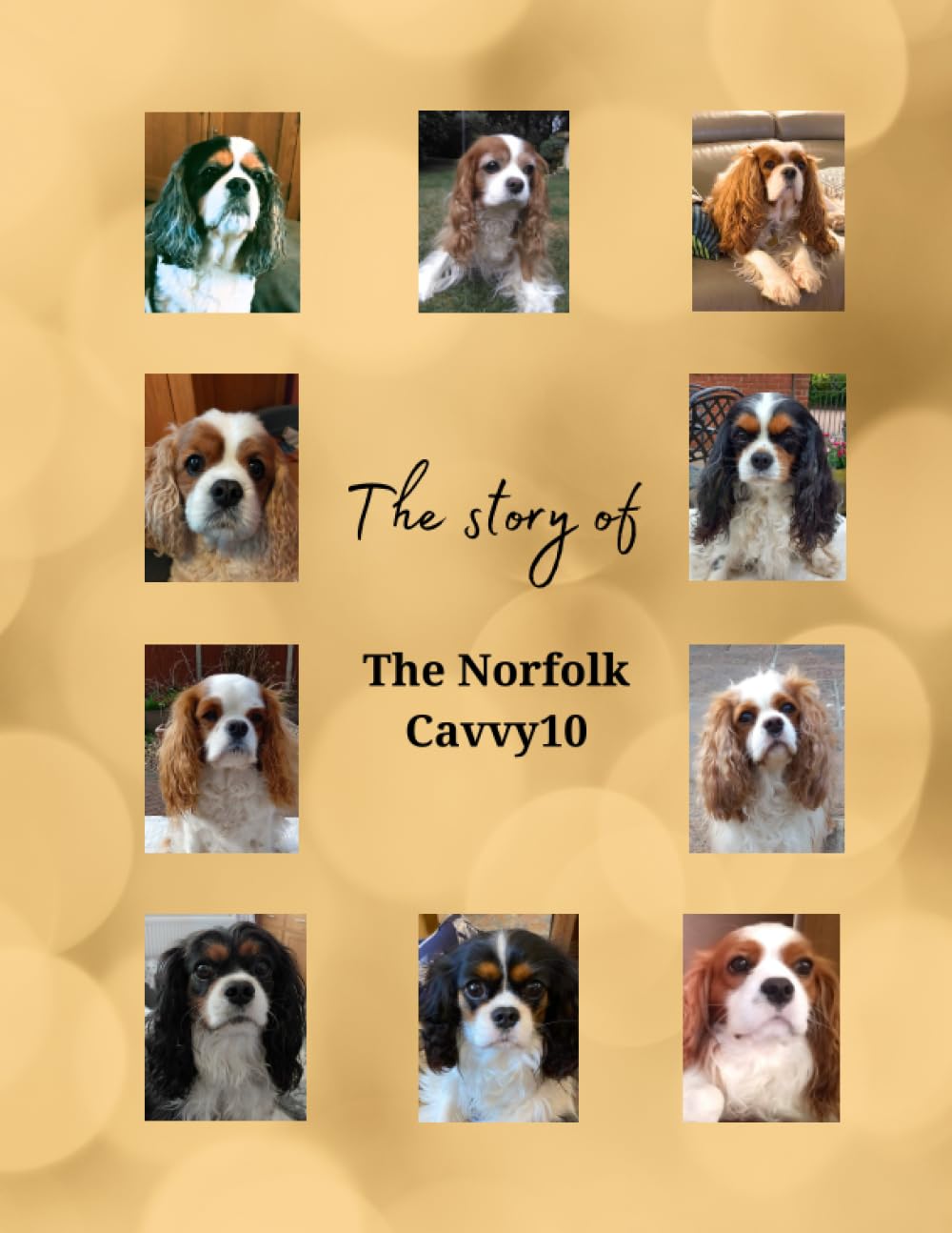 The Story of the Norfolk Cavvy10