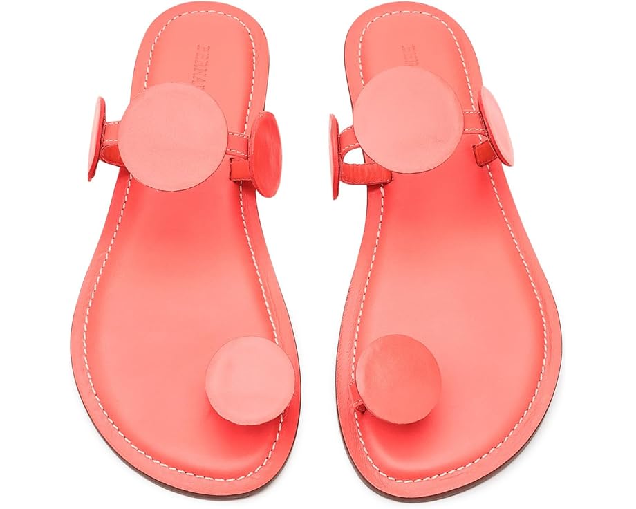 Bernardo New Moon - Top View