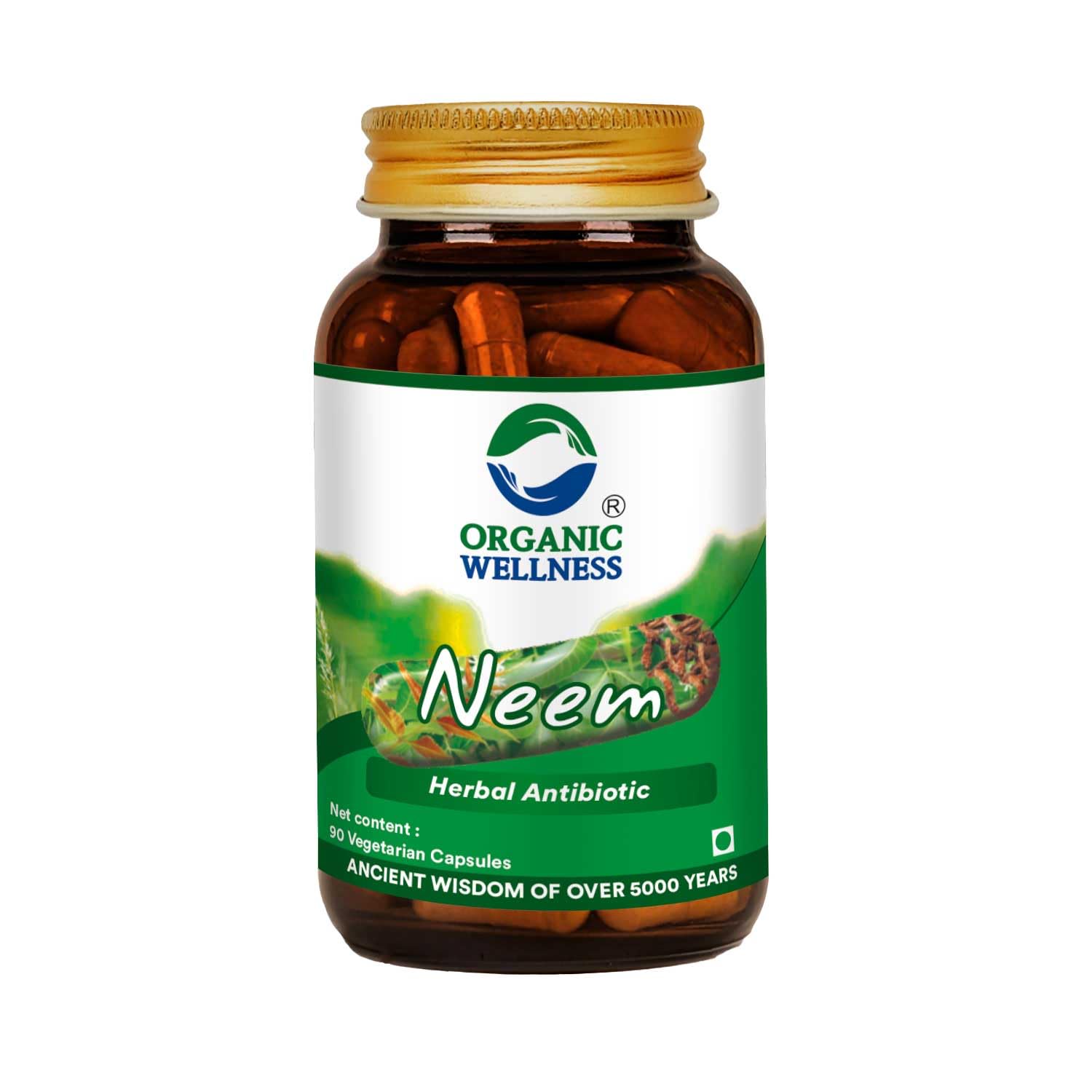 Neem Ayurvedic Capsules Blood Purifier Anti Acne Anti Bacterial & Fungal infections Improves Skin Health 100% Organic & Safe (90 N Veg Capsules)