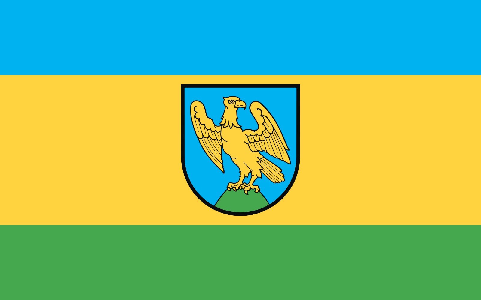 Drapeau Niemodlin miasta large pour vos événements et bâtiments