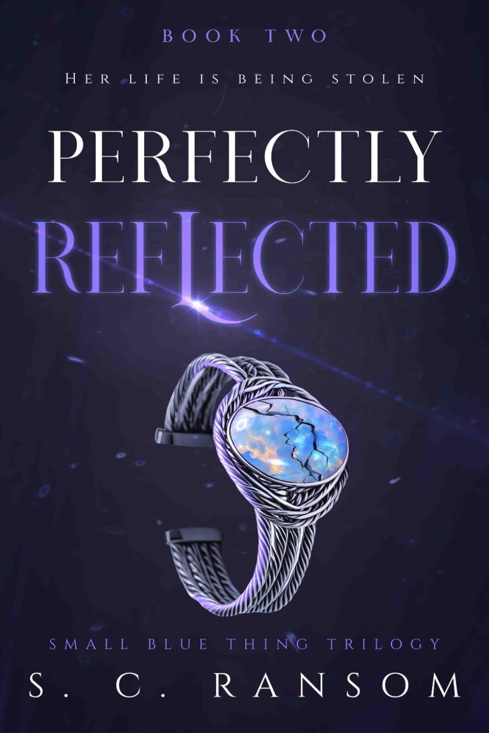 Perfectly Reflected: Her Life is Being Stolen: 2 (Small Blue Thing)
