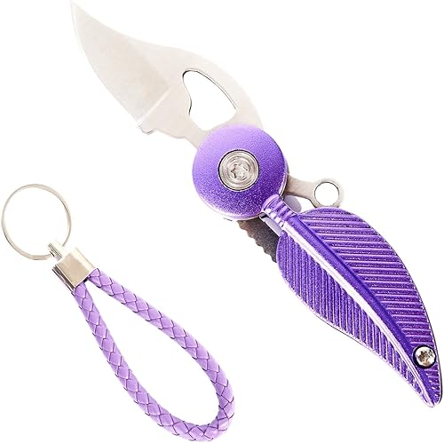 Cuchillos de bolsillo y cuchillos plegables, juego de cuchillos de bolsillo pequeños, mini cuchillo de bolsillo para mujer, cuchillo Edc con cadena,