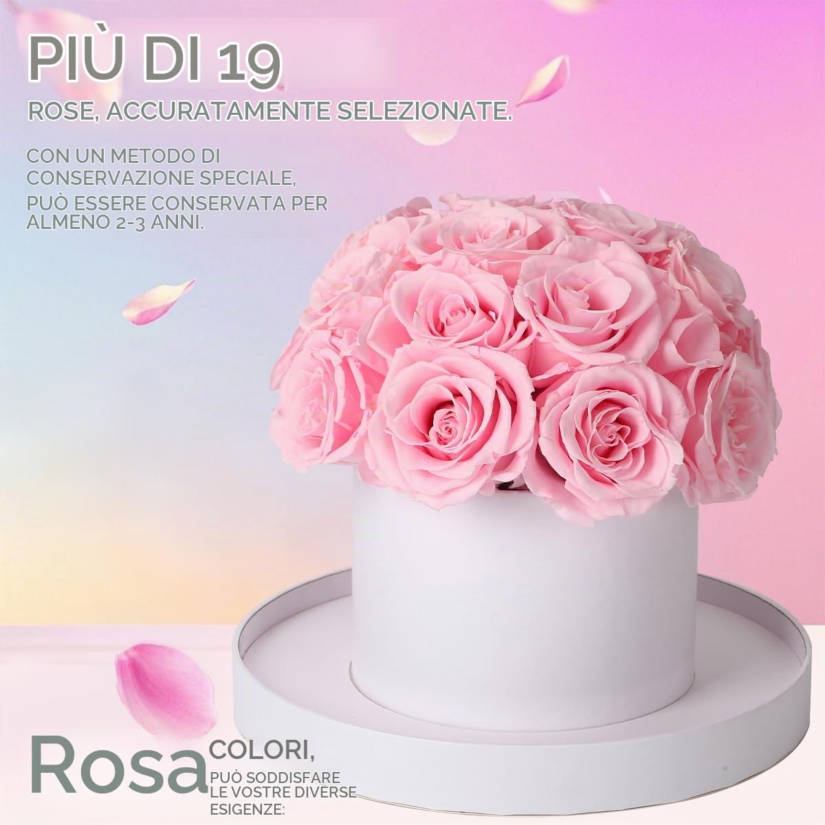 Scatola Regalo Rotonda di Fiori conservati Fiore eterno per lei 19 Rose conservate - Regali di Compleanno (Rose Rosa)