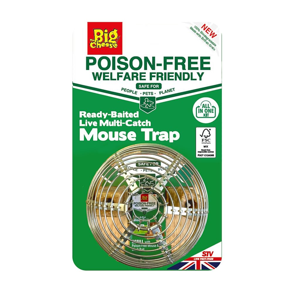The Big Cheese Poison-Free, Live Catch, Ready-Baited Dome Multi-Catch Mouse Trap-image-15