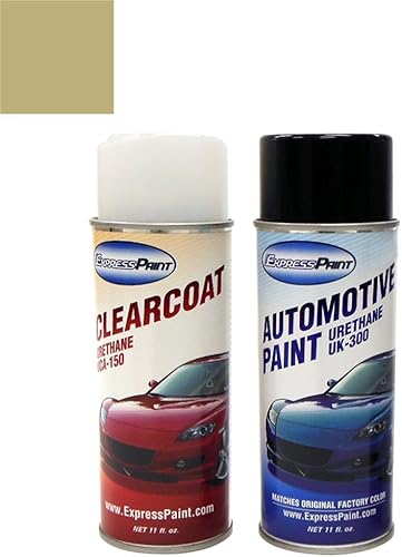 ColorRite - Aerosol para Chevrolet Trailblazer pintura de retoque automotriz, cachemira media (interior SEM 5749) WA831K, paquete todo incluido