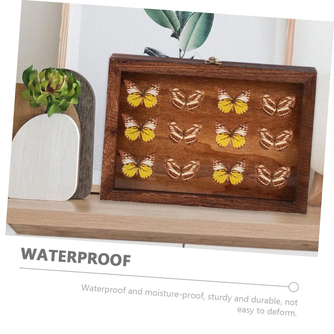 Vitrine pour Spécimens en Bois et Acrylique, Boîte de Présentation Rétro à Grosse Capacité, Cadre Boîte à Ombre Transparent et Anti-humidité pour Collection Style Aléatoire