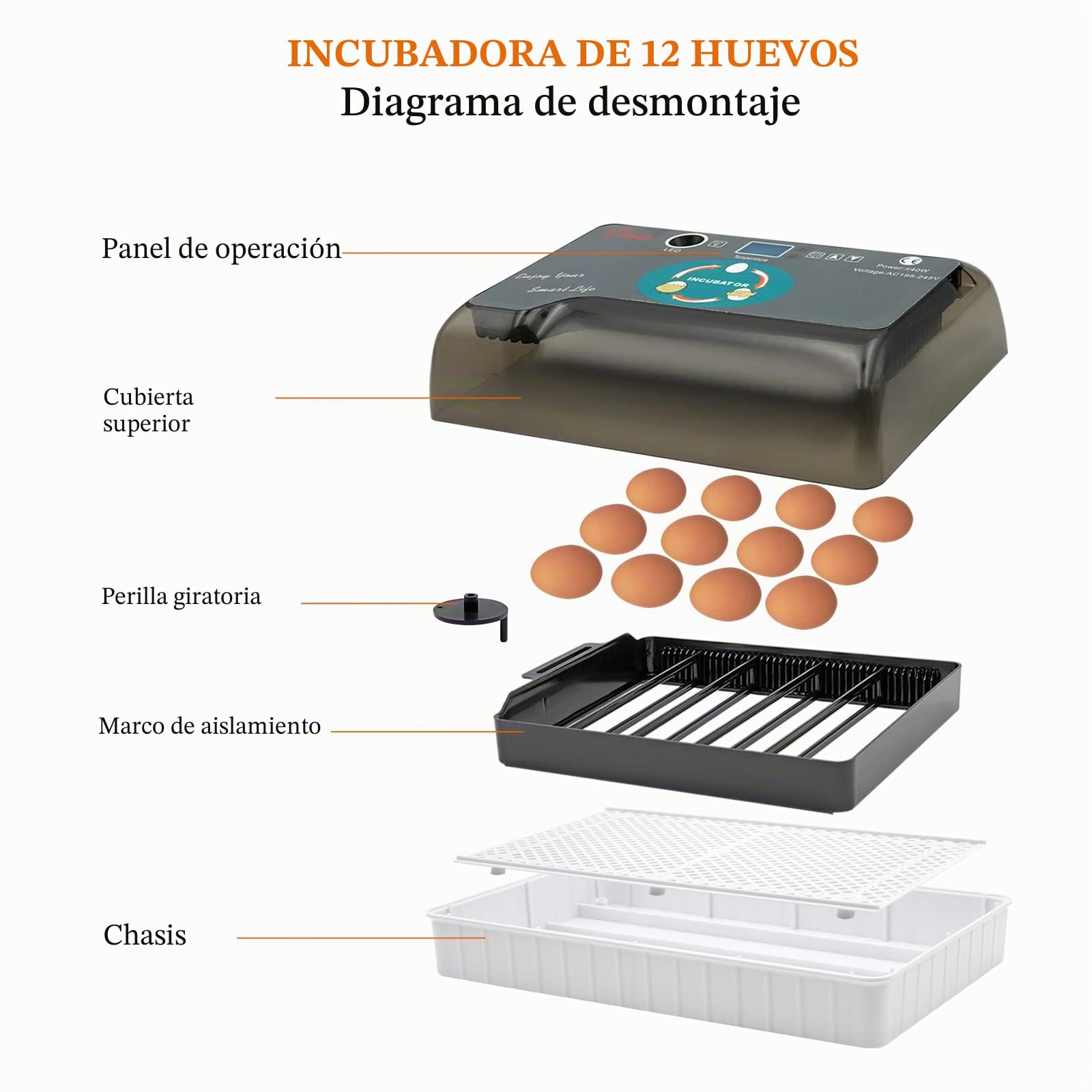 Incubadoras de Huevos para Incubar Huevos, Incubadora de 12 Huevos con Volteo Automático de Huevos y Control de Humedad, Incubadora de Huevos para Incubar Huevos de Pollito, Pato, Codorniz, Ganso