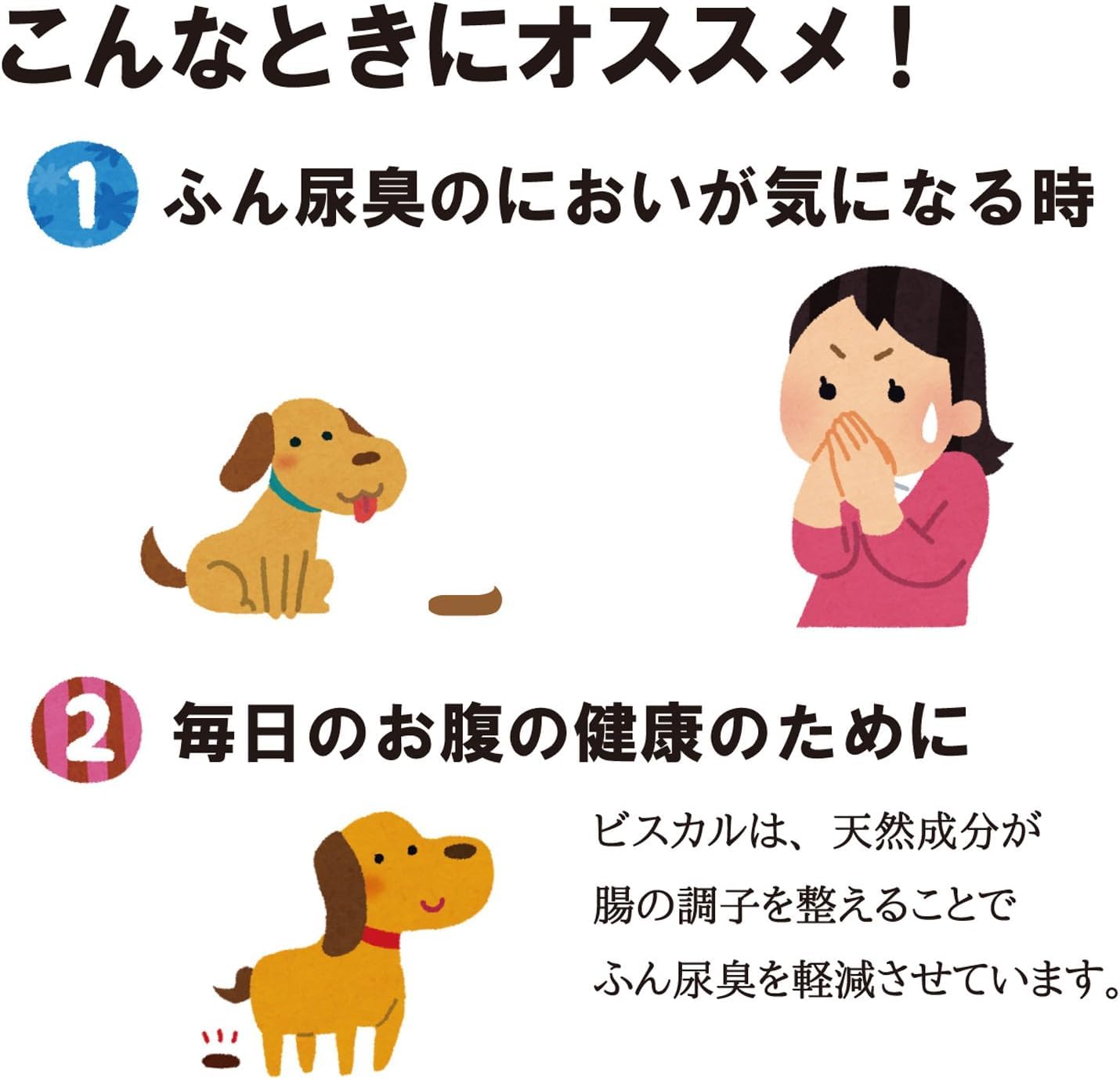 ビスカル2.5kg×4個 ビスカル2.5kg×4個 ビスカル ( 2.5kg*4コセット )/ : ペット