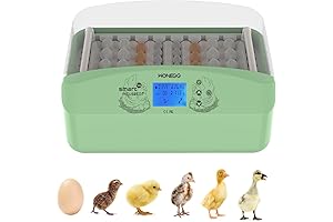 Eggs Incubators 32, Simple Set-Up, Chicken Hatching Machine