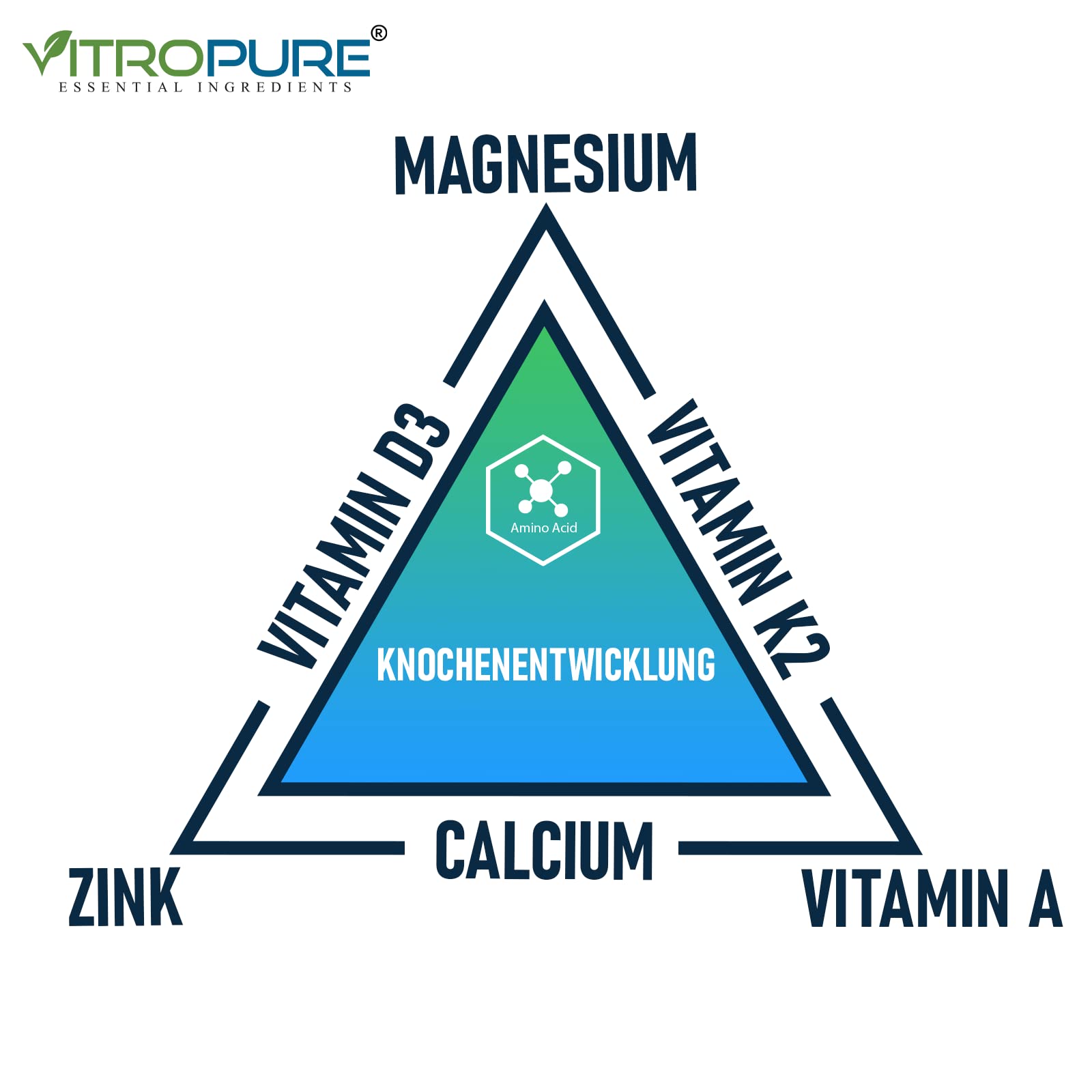 OsseoLong® Jugend: Einzigartige Kombination L-Arginin + verzweigtkettiger Aminosäuren (BCAAs), Kalzium, Vitamin D3, Zink und Magnesium für die Knochenentwicklung (Kapsel)