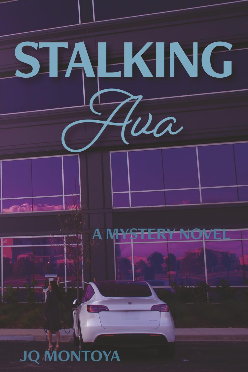 Stalking Ava: A Mystery Novel