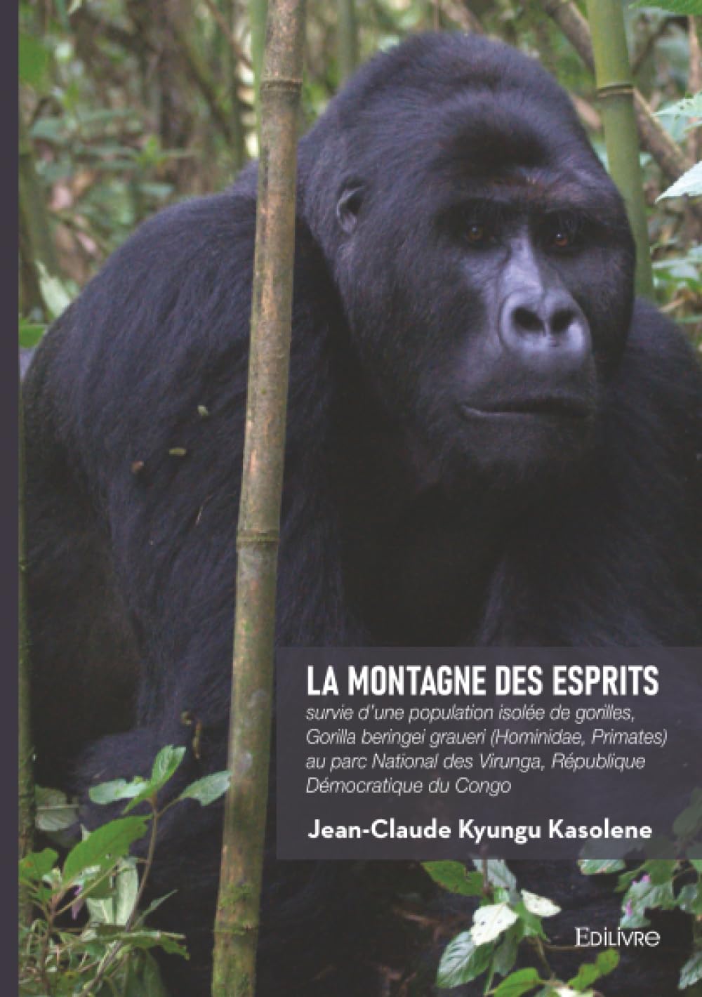 La montagne des esprits: survie d'une population isolée de gorilles, Gorilla beringei graueri (Hominidae, Primates)