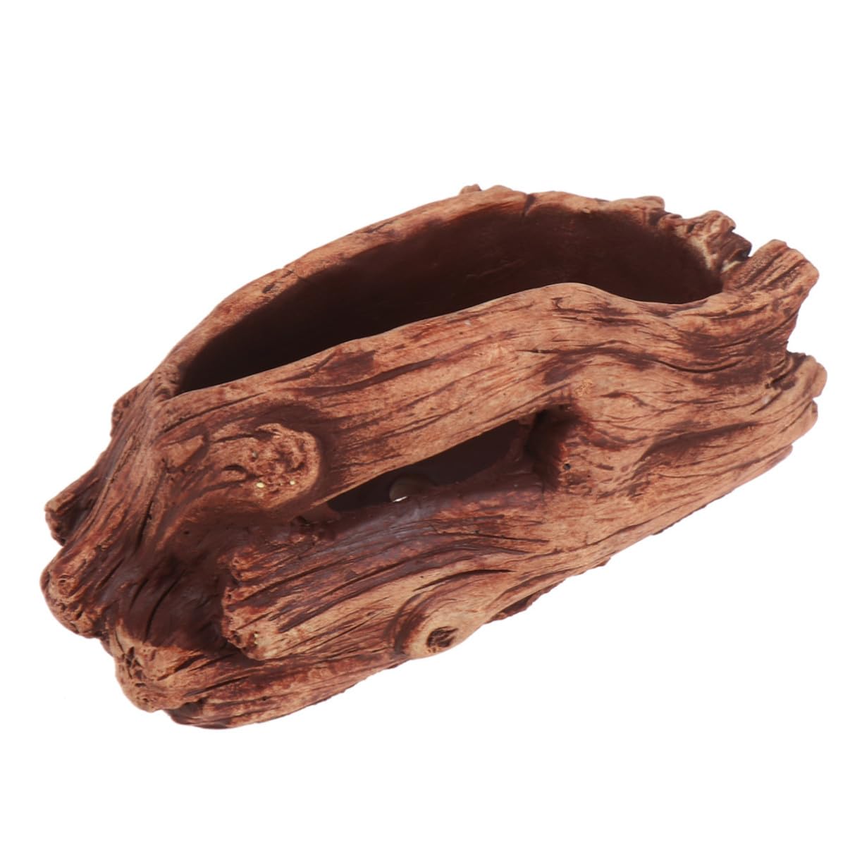 Plantes résistantes pot ciment étanche et jardinière style racine