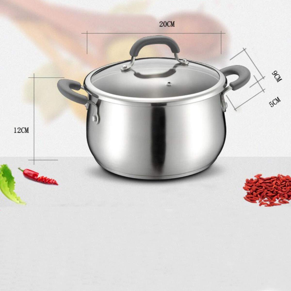 Stockpot en Acier Inoxydable, marmite avec Couvercle, poignées Doubles résistantes à la Chaleur - Lave-Vaisselle