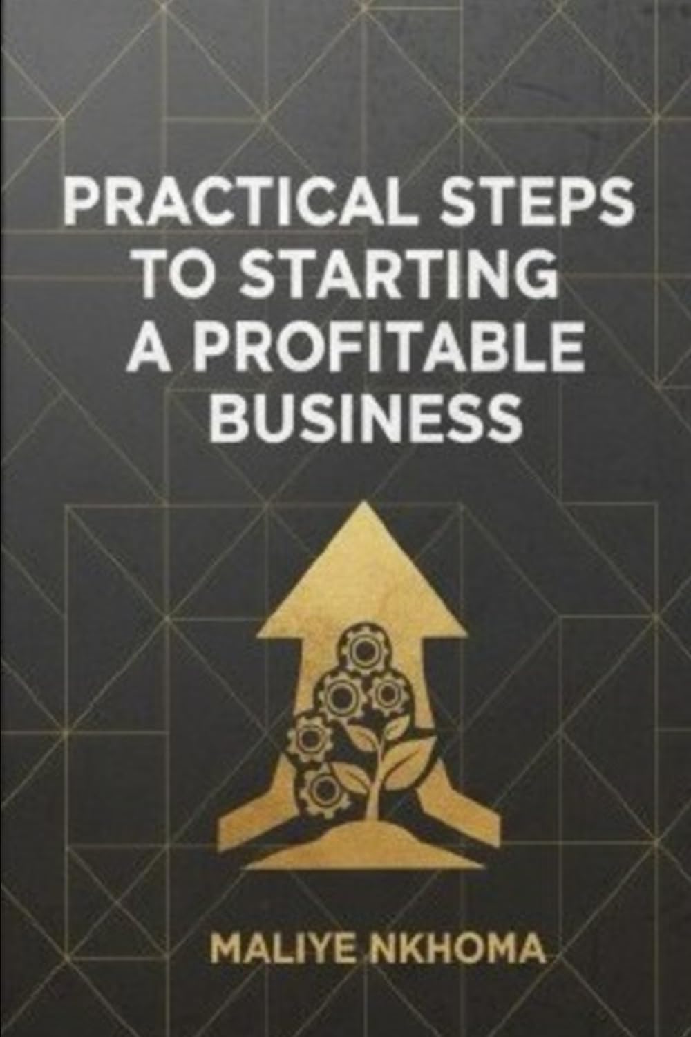 Compre Starting Compare practical steps to starting a profitable business products from ...