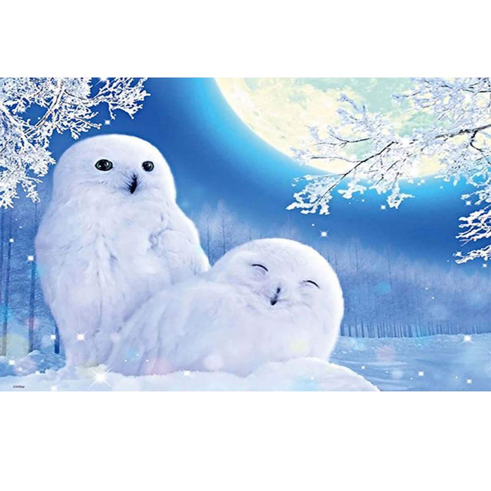 5D Diamond Painting Kits, White Snow Eagle Moon Silver Tree Animals WOWDECOR Full Drill DIY Diamond Art Cross Stitch Paint by Numbers