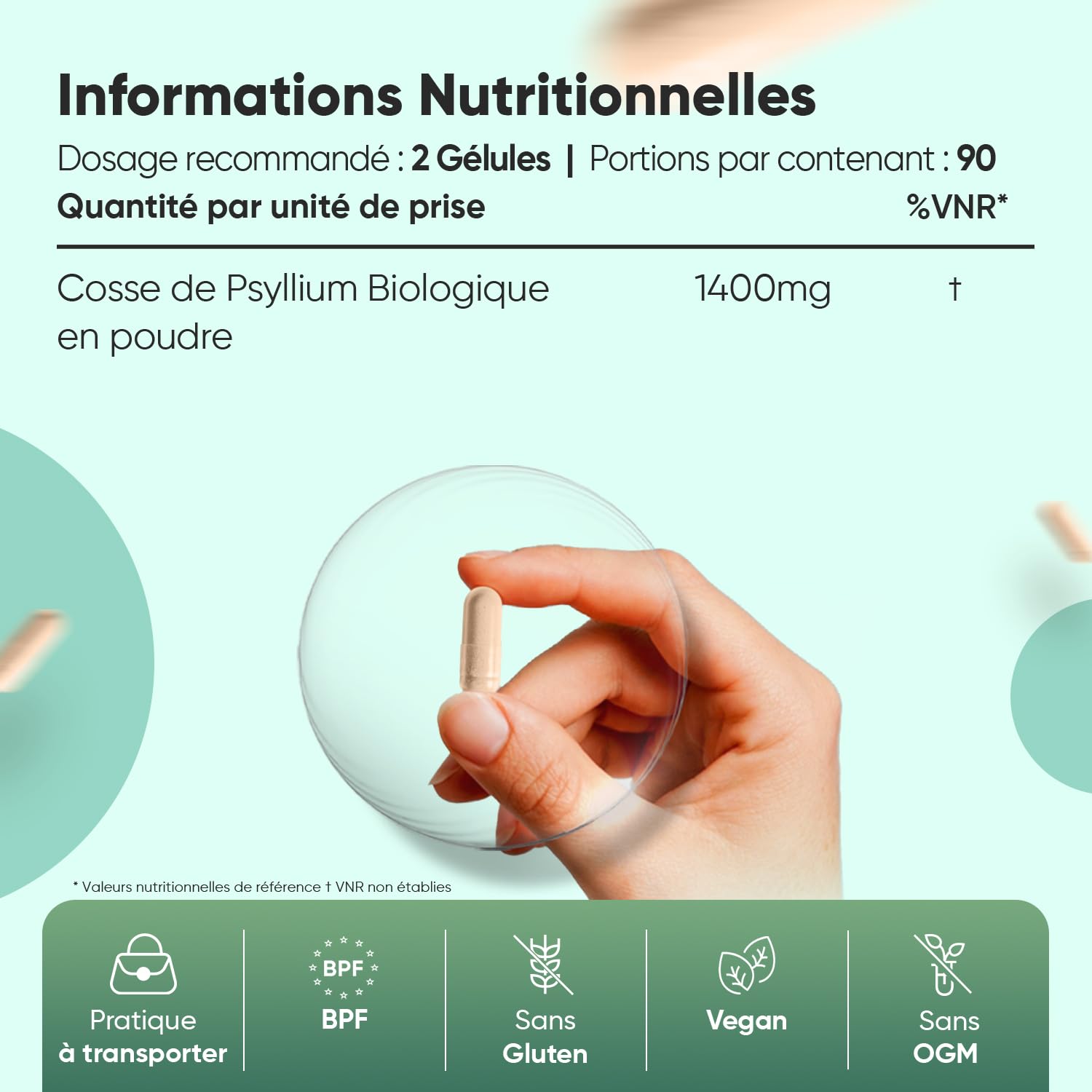 Duo Complémentaire - Curcuma Bio, Poivre Noir, Gingembre 365 Gélules Vegan - Psyllium Blond Bio 180 Gélules Vegan, Tégument de Graine de Plantago Ovata - Gélules Multi-Usages Certifiées AB