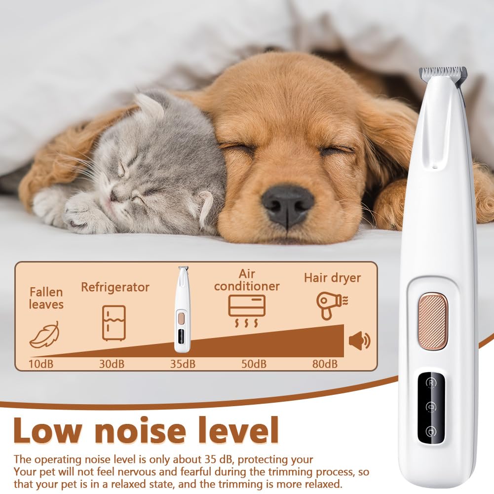 Tondeuse pour Pattes Chien Silencieuse, Tondeuse pour Chien et Chat, Lames Céramique et Inox, LED Intégrée, Rechargeable USB, Étanche, Toilettage Zones Sensibles pour Pattes, Yeux, Oreilles