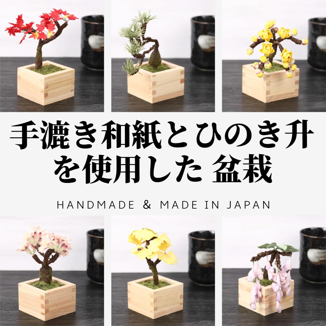 Amazon｜Rose7（ローズセブン） 手漉き和紙とひのき升を使用した 盆栽