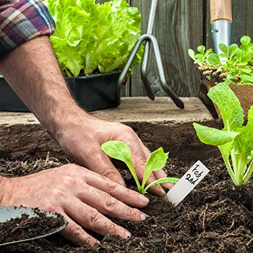 Vumdua 3\" Peat Pots with Plant Label, Biodegradable Seed Starter Kit for Vegetables, Herbs, Fruits, Flowers - 100 Pcs Planting Pots & 100 Pcs Plastic Plant Markers - Thumbnail 4