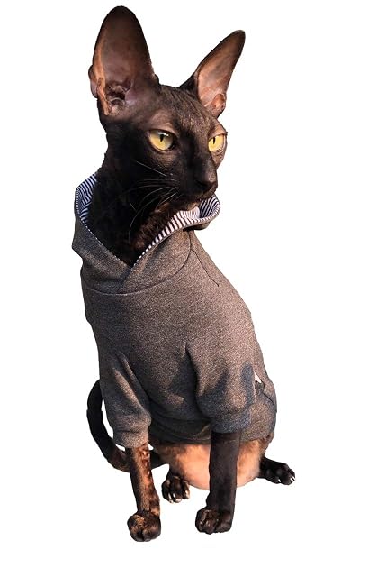 Foto 3 de 6 de Sphynx Cat - Sudadera con capucha para gatos (XL)