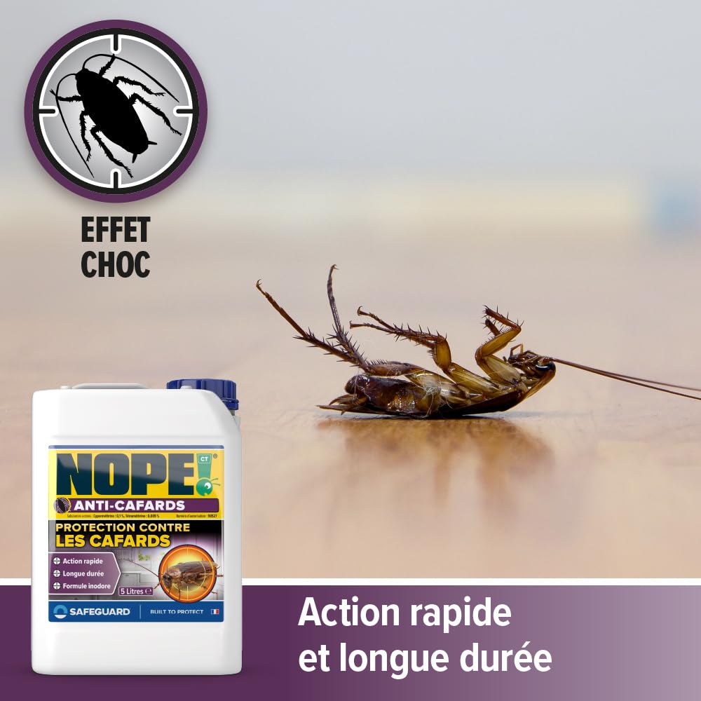 NOPE! CT Spray Anti-Cafards 5l – Insecticide Puissant Sans Odeur – Action Rapide & Longue Durée – Anti-Blattes Intérieur