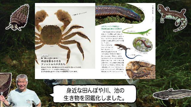 たくましくて美しい 淡水生物図鑑 | 関慎太郎 |本 | 通販 | Amazon