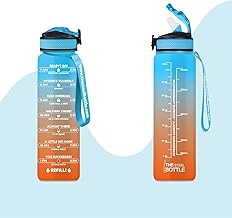 THE STEEL BOTTLE - Motivational Sports Gym Water Bottle 1 Litre with Levels and Time Marker, Straw and Time Slots - BPA and Phthalate Free - Airtight Seal (Orange & Blue)