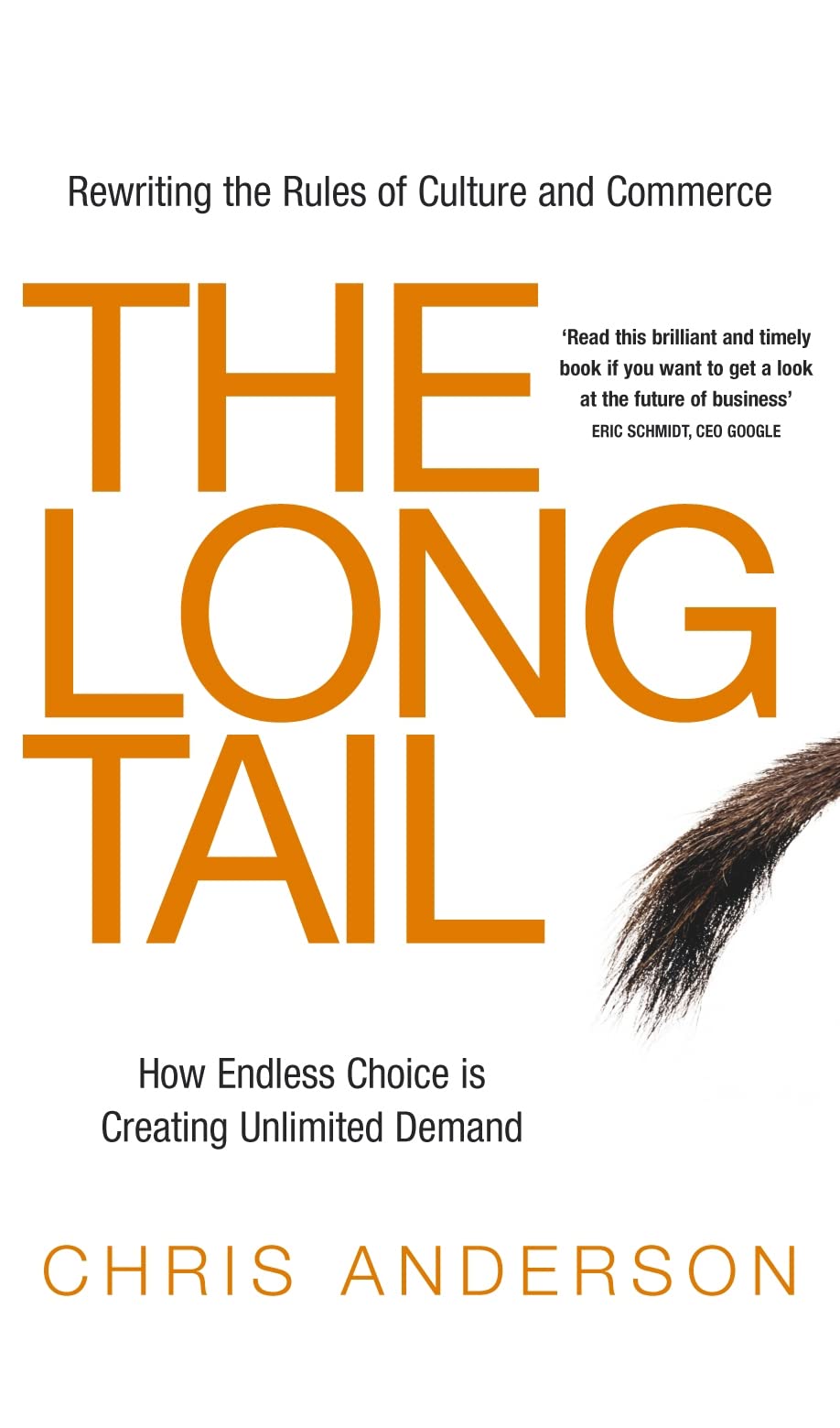 The Long Tail: Amazon.co.uk: Anderson, Chris: 9781844138500: Books