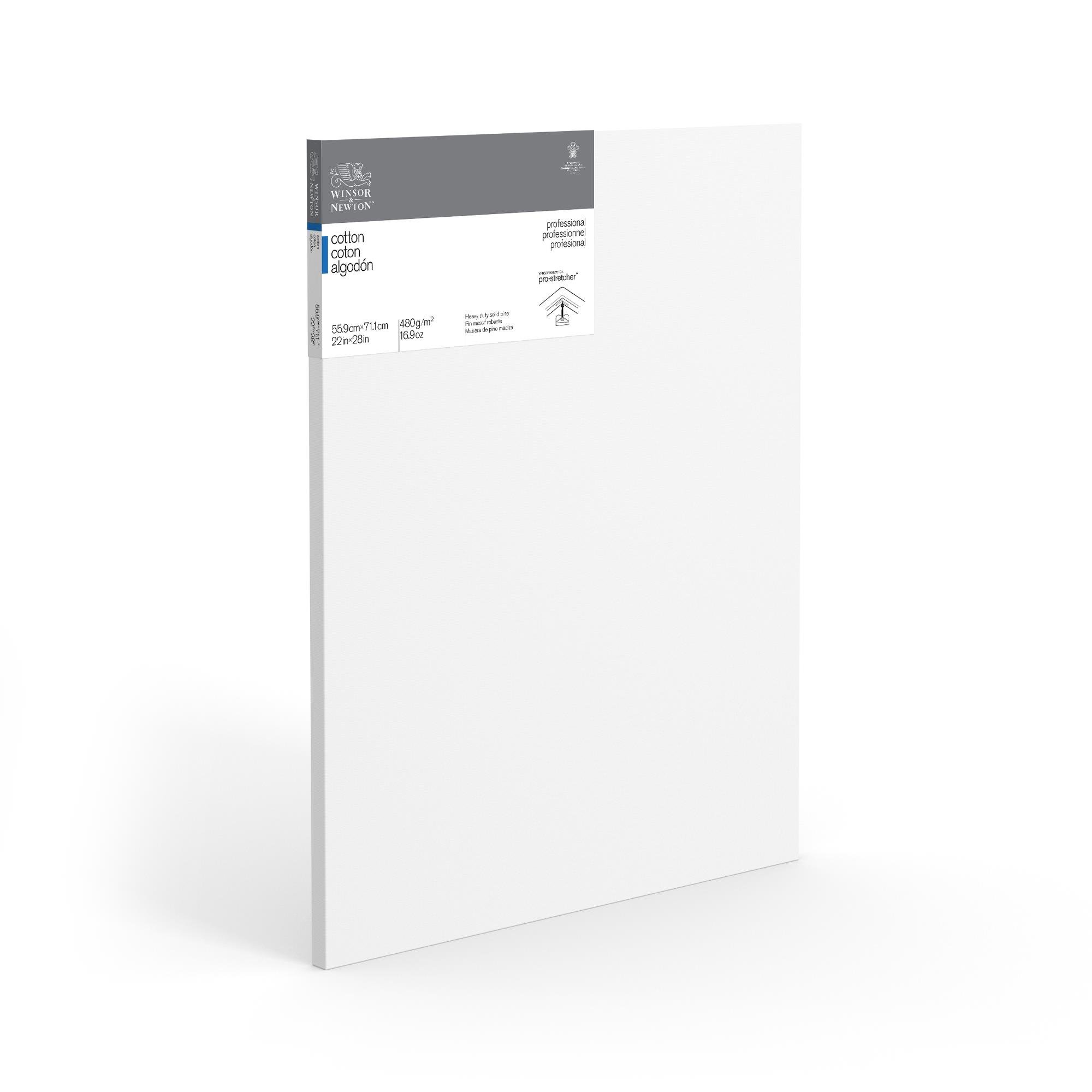Winsor & Newton Professional Cotton Canvas, 22" x 28"