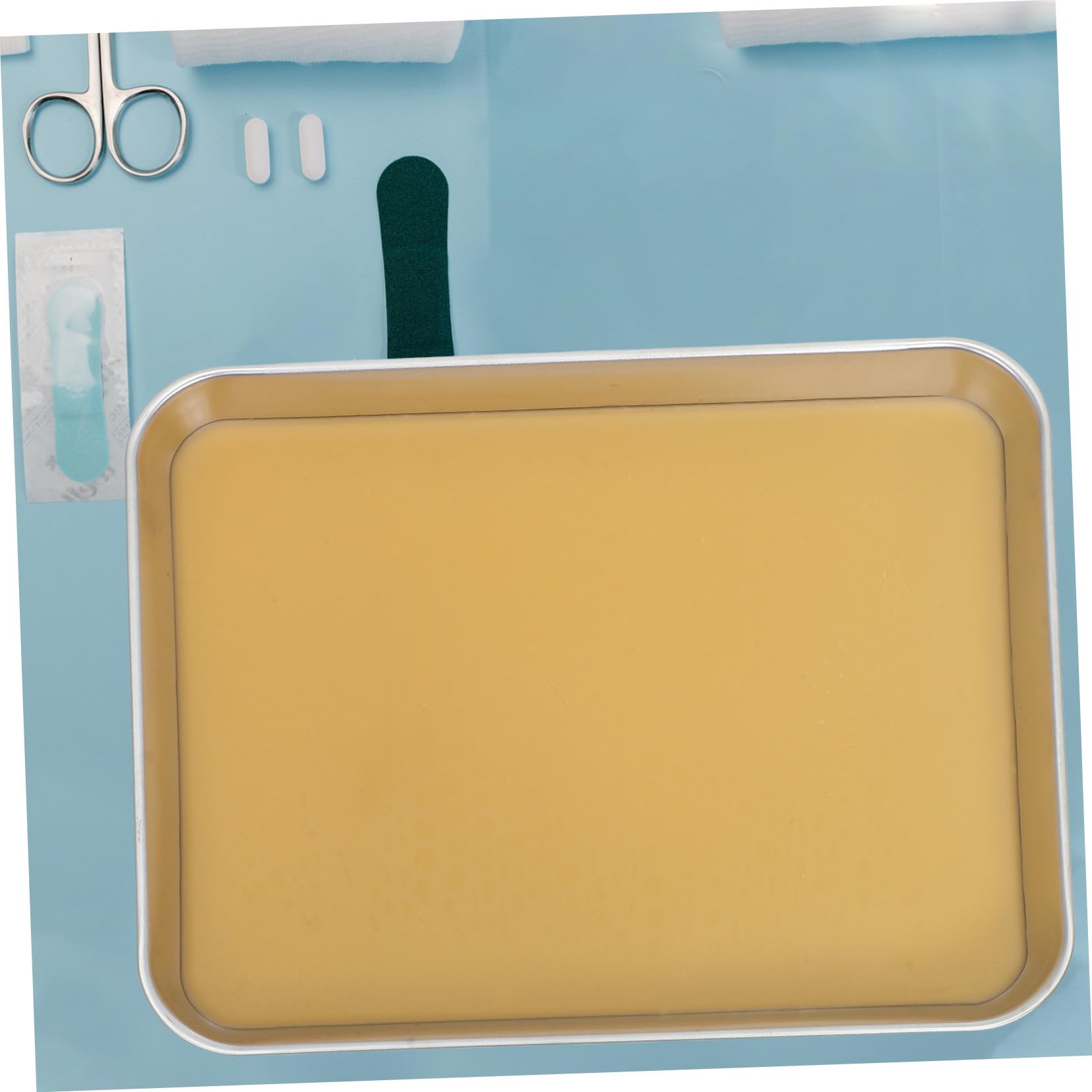 Hemobllo Plateau De Dissection Acier Inoxydable Avec Revêtement Cire Pour Laboratoire Plateaux De Dissection Pour Étudiants Et Rangement