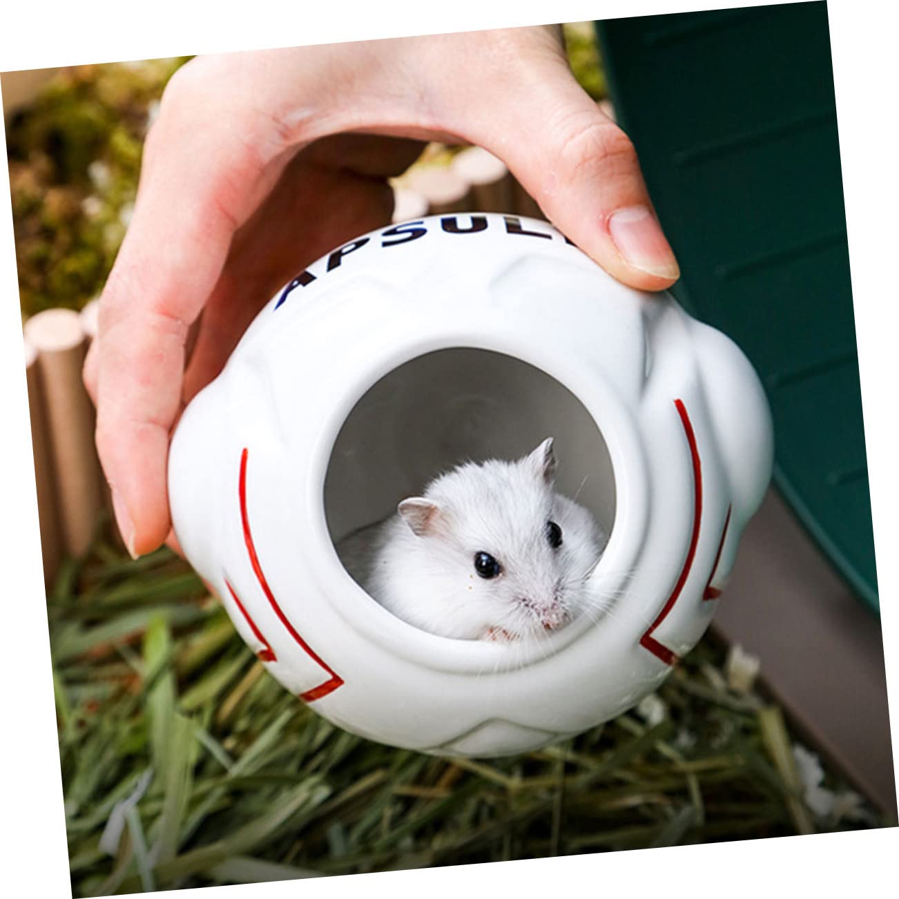 Angoily Gamelle pour Hamster Céramique Accessoire De Maison Lavable pour Petits Rongeurs