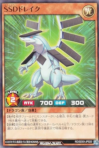 �V�Y�� ���b�V���f���G�� RD/SD03-JP020 �r�r�c�h���C�N (���{��� �m�[�}��) �ŋ��o�g���f�b�L �V�� �|�����Ń��I �n�C�e�N�h���S���I�|