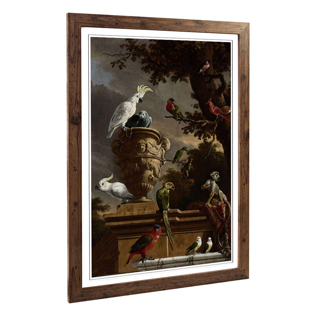 Big Box Art Framed Print of Melchior d'Hondecoeter Monkeys and Birds Design | Wall Art Picture | Home Decor for Kitchen, Living Room, Bedroom, Hallway, Walnut, A2 / 24.5x18 Inch / 62x45cm
