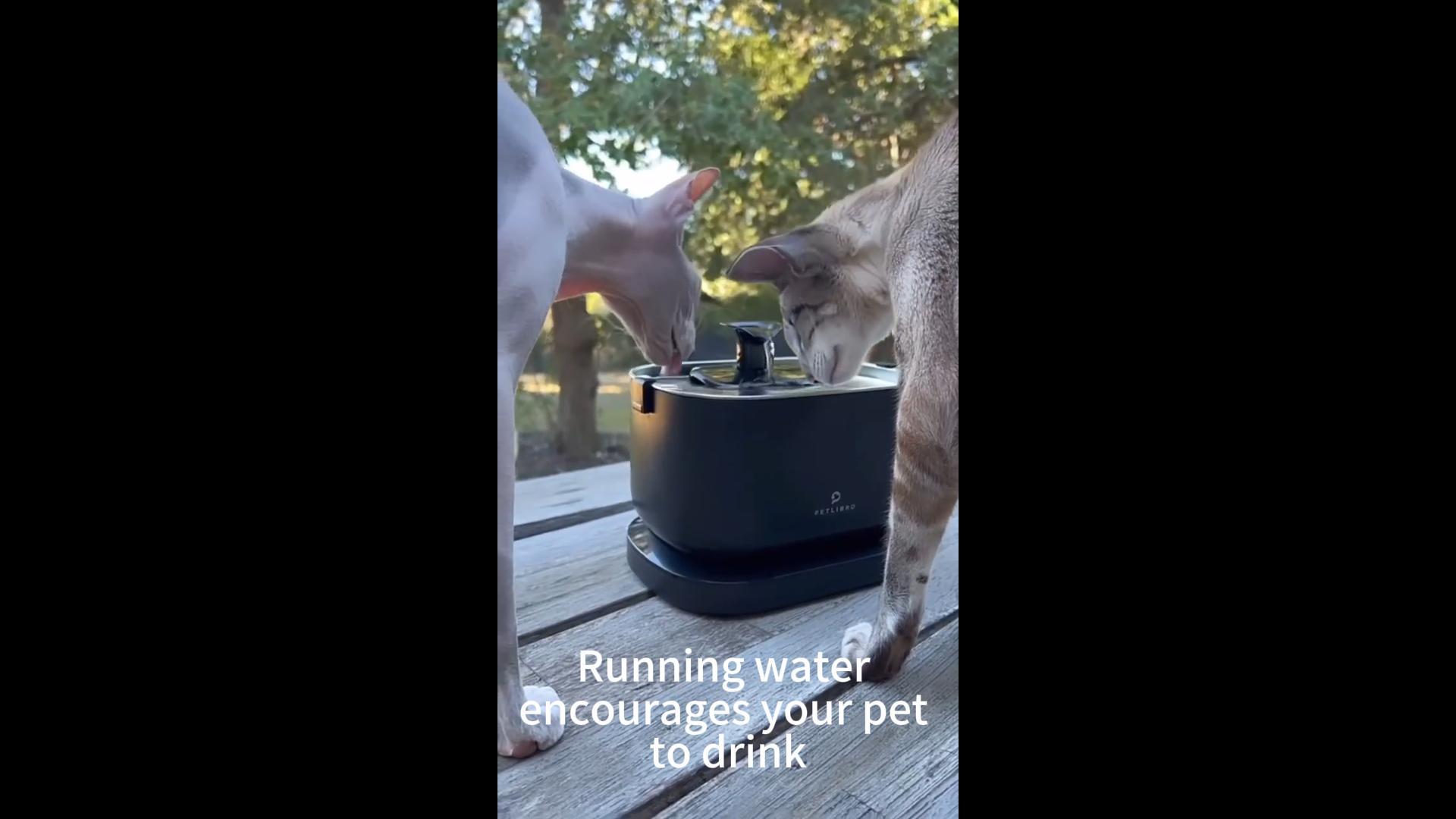 PETLIBRO Wireless Cat Water Fountain, 2.5L/84oz, Stainless Steel