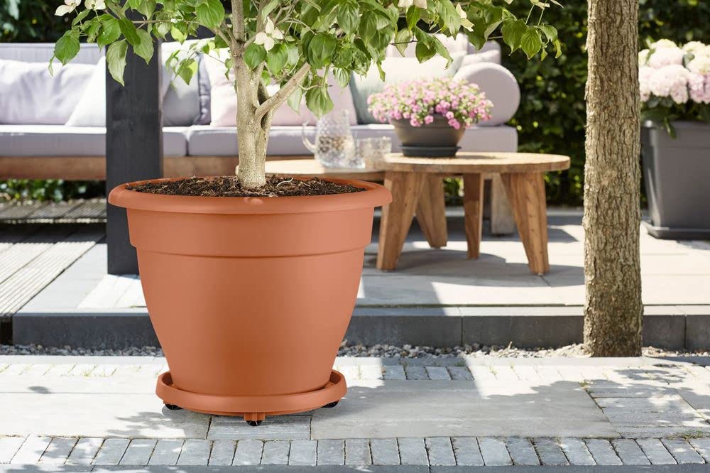 Elho Universal Planttaxi 40 - Plato por Interior Y Exterior Accesorios - Ø 38.2 x H 6.5 - Terra