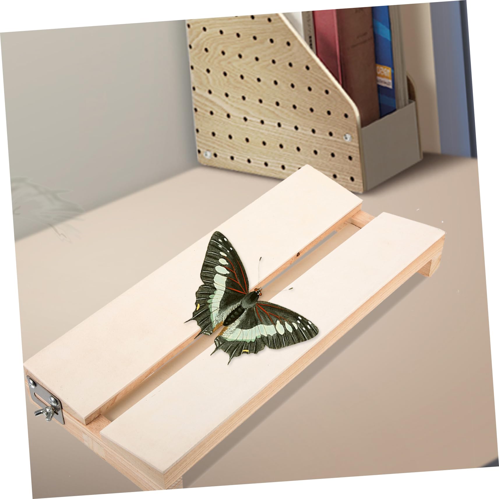 STOBOK Butterfly Wings Butterfly Spreading Wing Board Butterflies Specimen Board Specimen Display Panel Butterflies Spreading Board Butterfly Spreading Board Butterflies Wing Board Foam