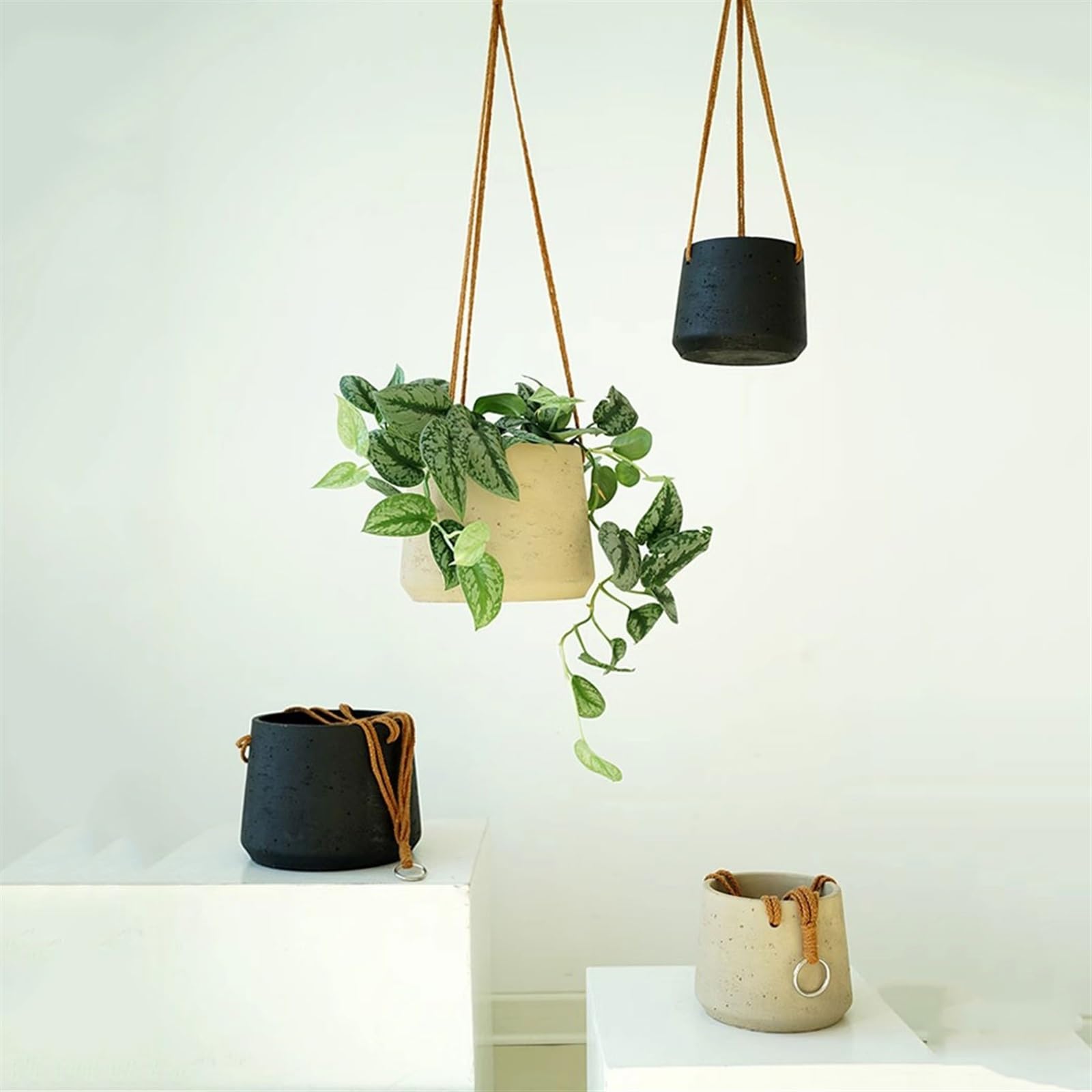 macetas para plantas Fioriera sospesa a parete Piccola pianta Cesto sospeso for balcone Orchidea per Casa Giardino(Nero,Piccolo)