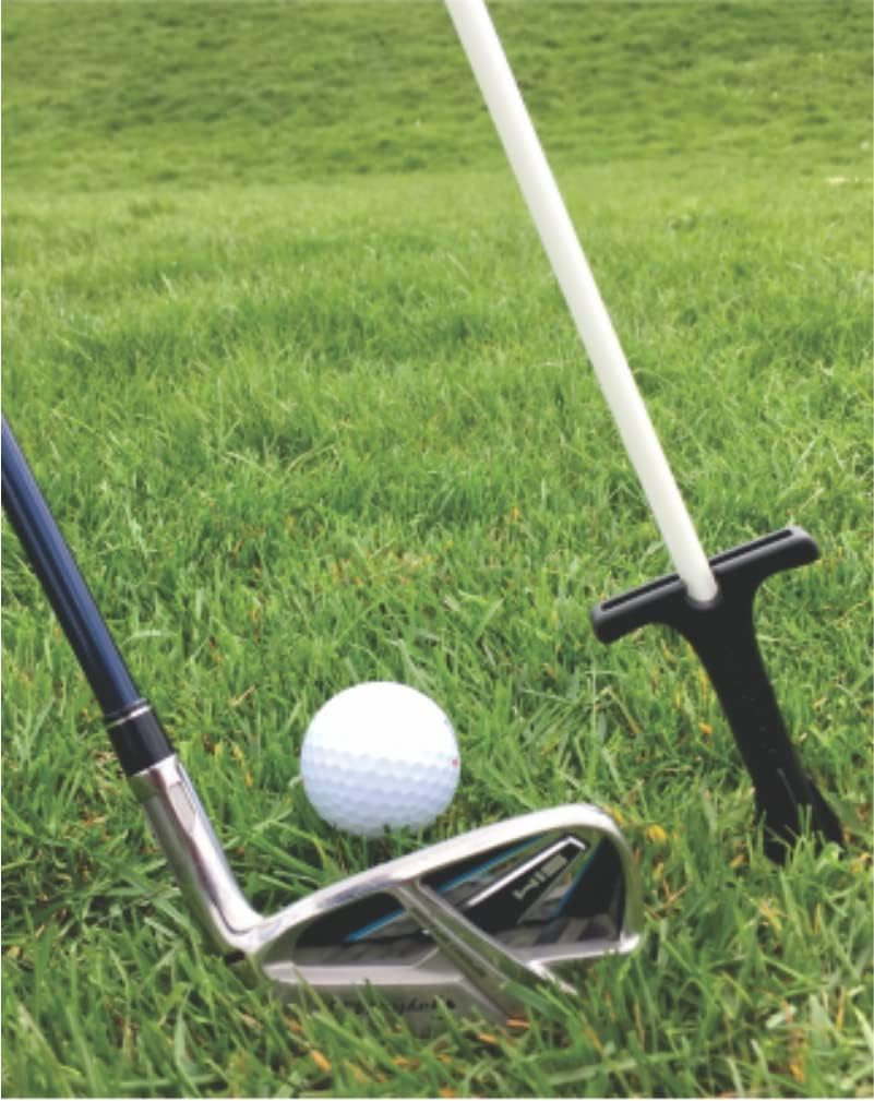 Golf Rod Stakes